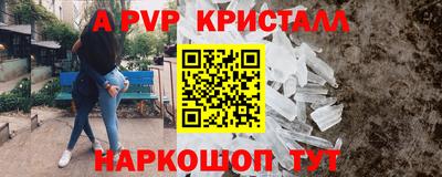 стаф Шелехов