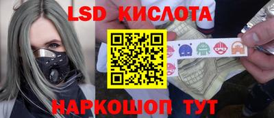 стаф Шелехов