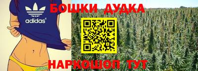 стаф Шелехов